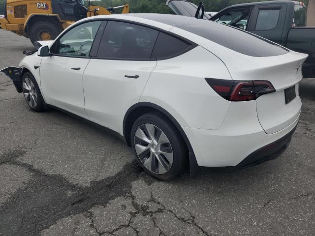  TESLA MODEL Y 2023 White