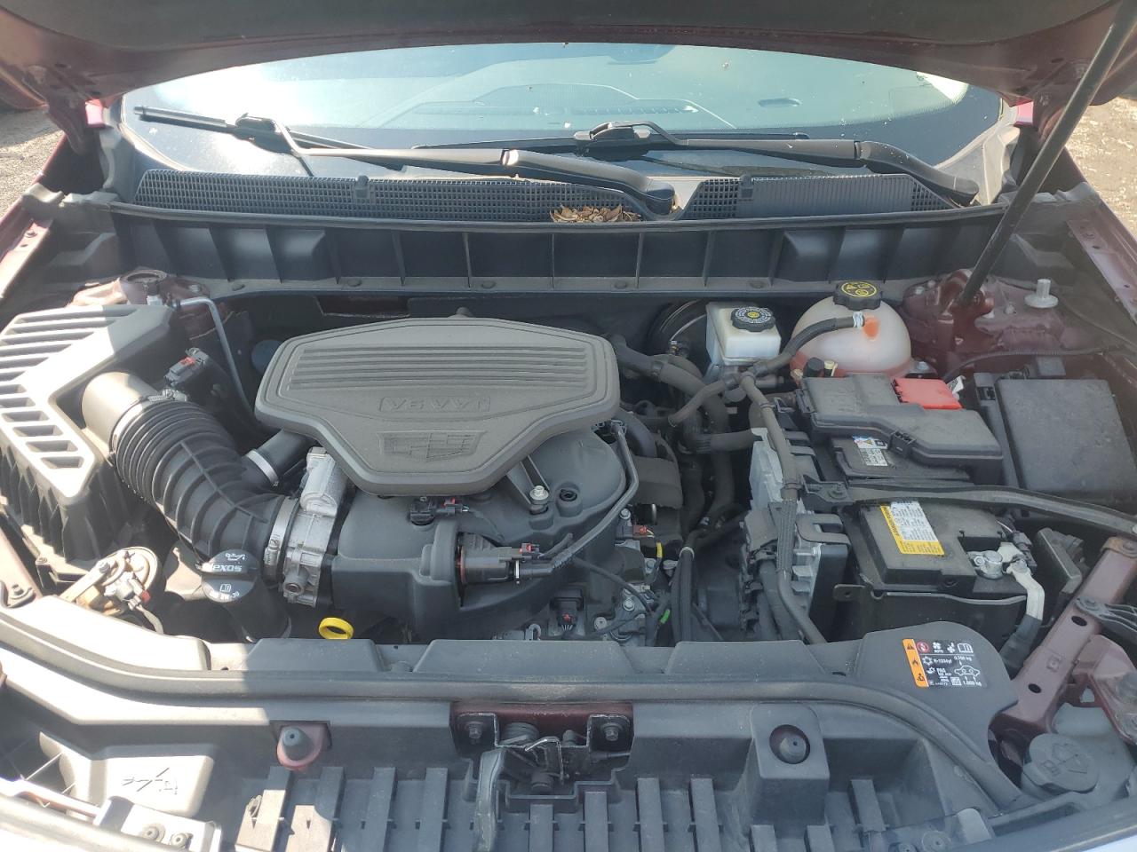 2019 Cadillac Xt5 Luxury VIN: 1GYKNDRS1KZ149628 Lot: 66699785