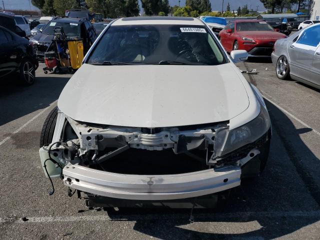 Sedans ACURA TL 2014 Cream