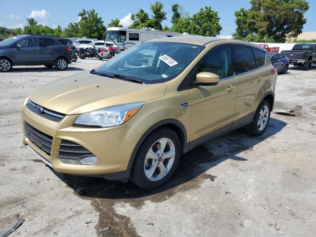 Parquets FORD ESCAPE 2014 Złoty