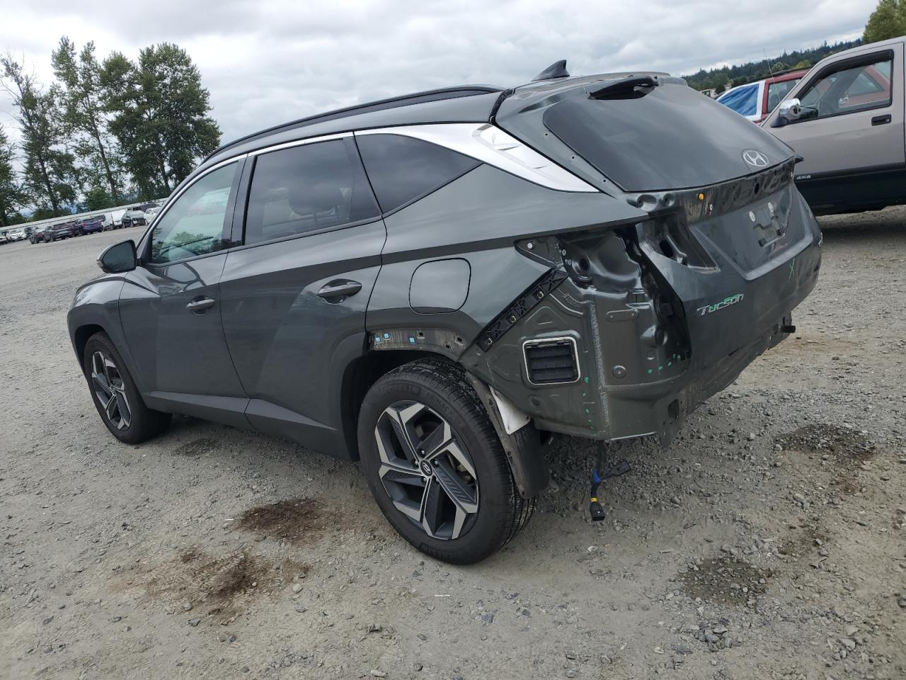 2024 Hyundai Tucson Limited VIN: KM8JECD11RU219755 Lot: 66226625