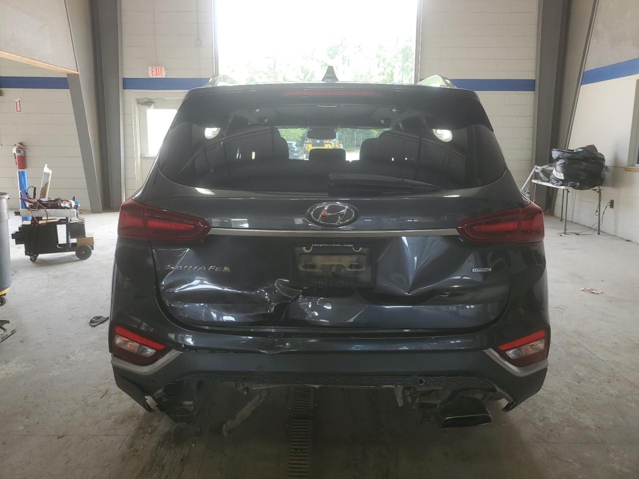 2020 Hyundai Santa Fe Sel VIN: 5NMS3CAD3LH204606 Lot: 63479745