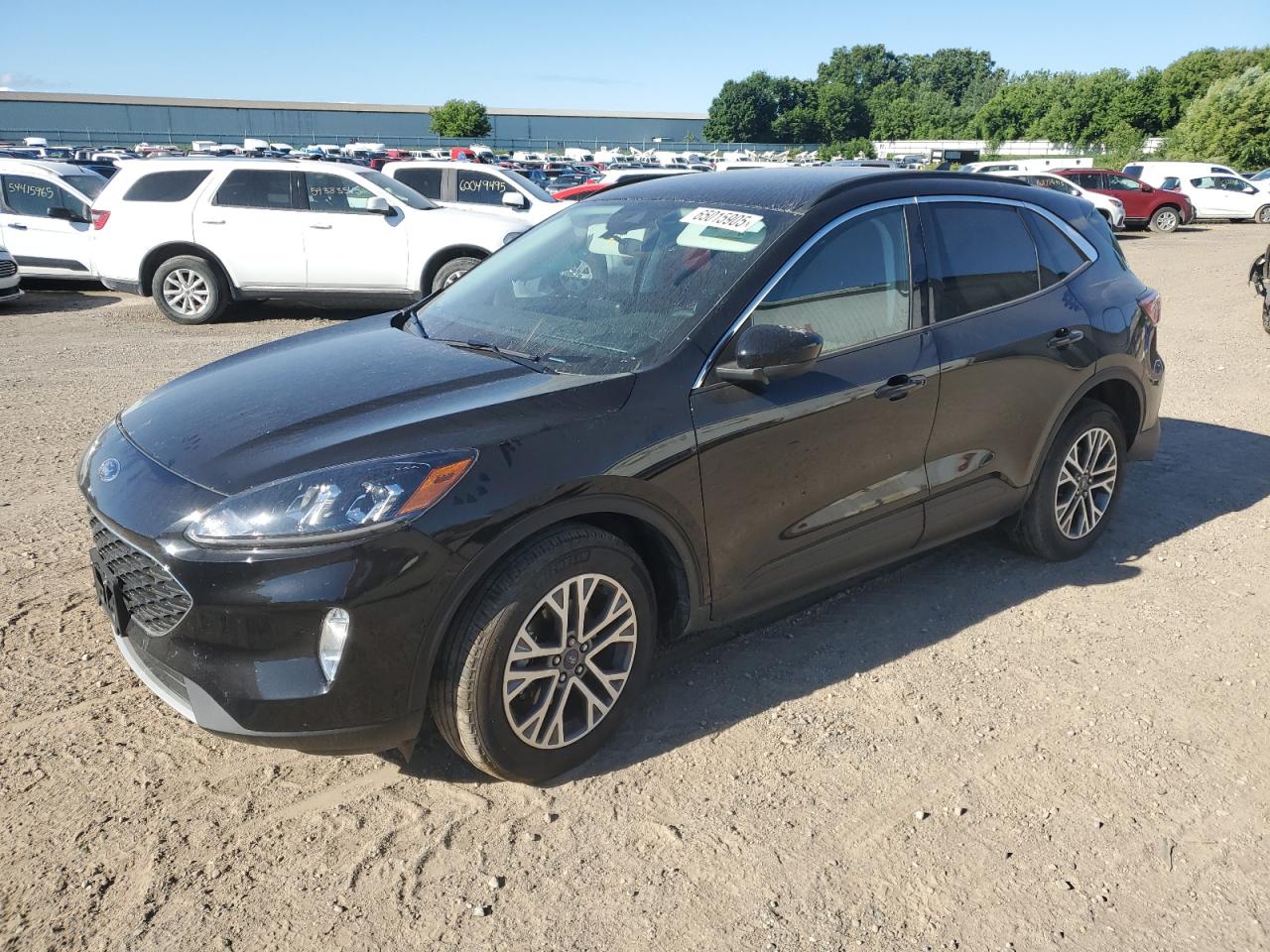 2022 Ford Escape Sel