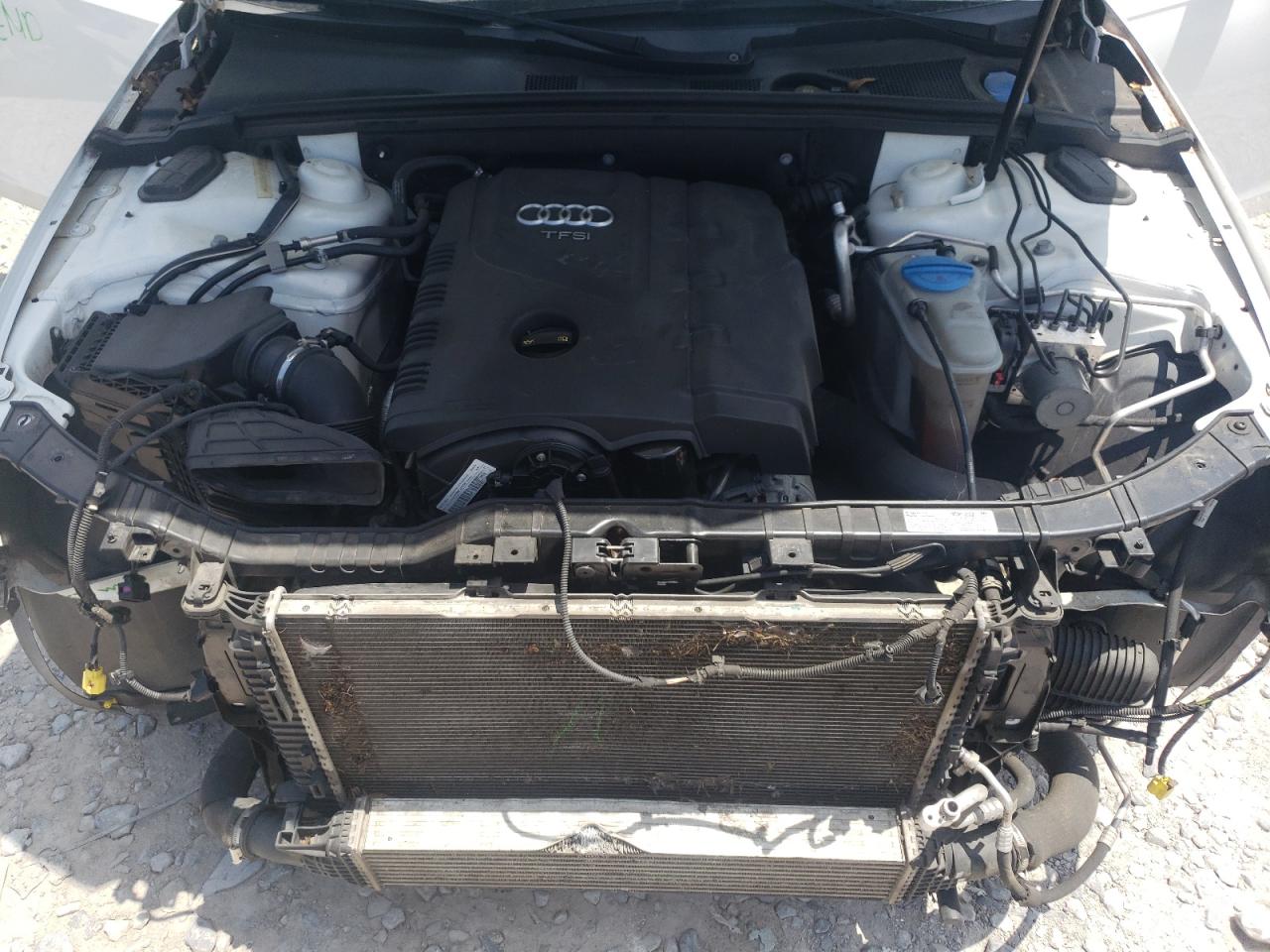 2015 Audi A4 Premium Plus VIN: WAUFFAFL6FN039765 Lot: 66112285