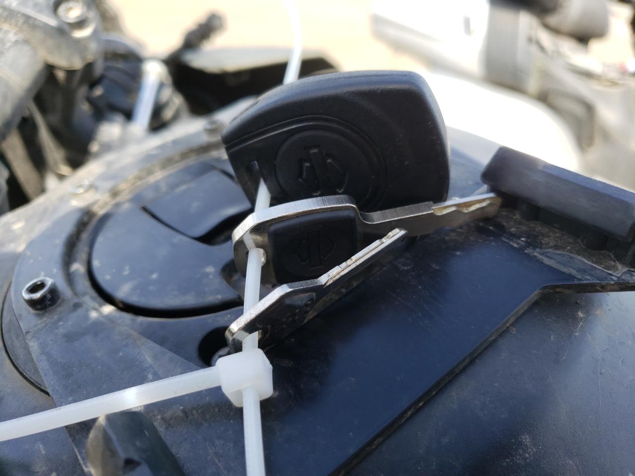 2022 Harley-Davidson Ra1250 S VIN: 1HD1ZES19NB317489 Lot: 66493045