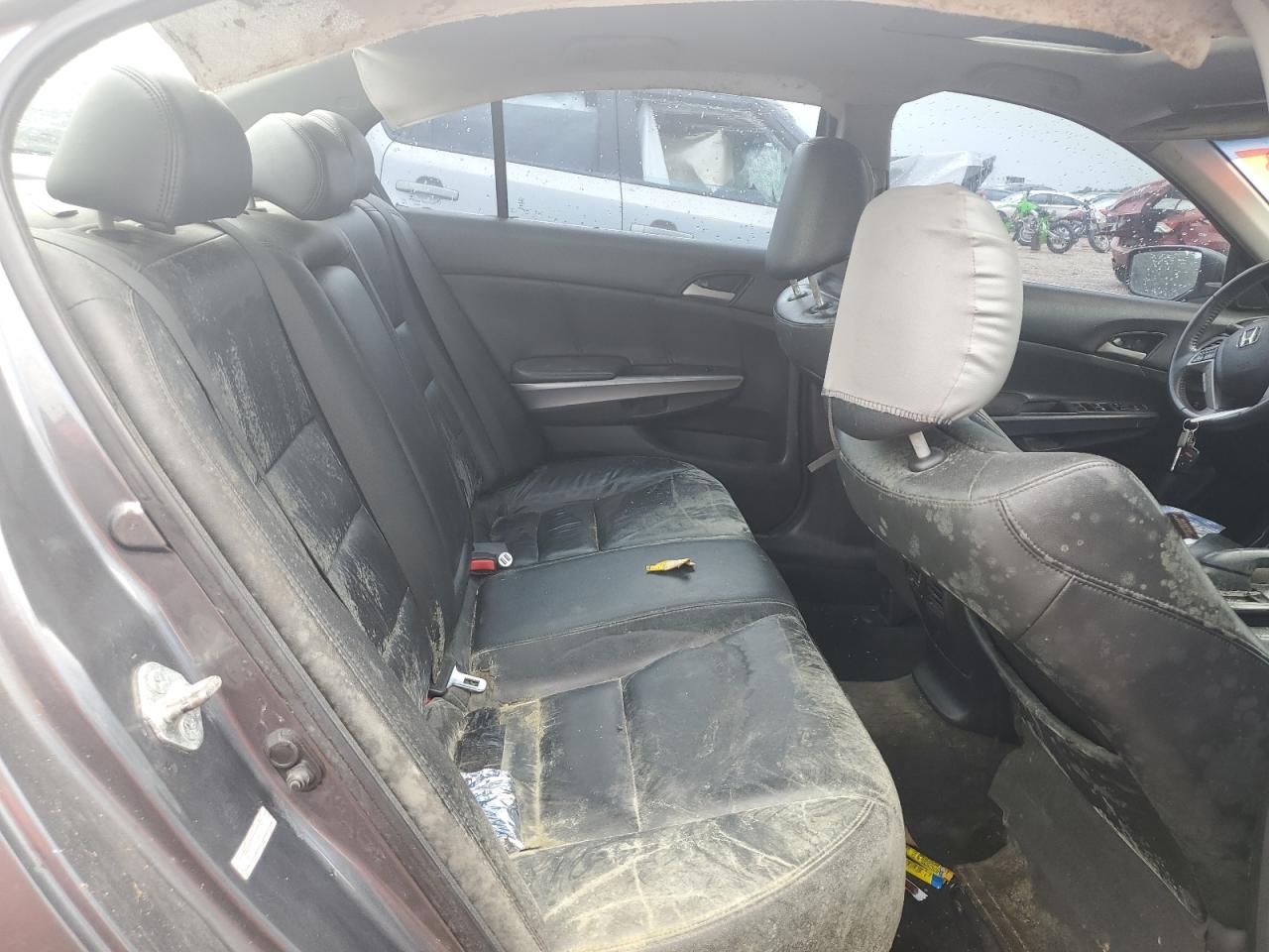 2010 Honda Accord Exl VIN: 1HGCP3F88AA012742 Lot: 63139605