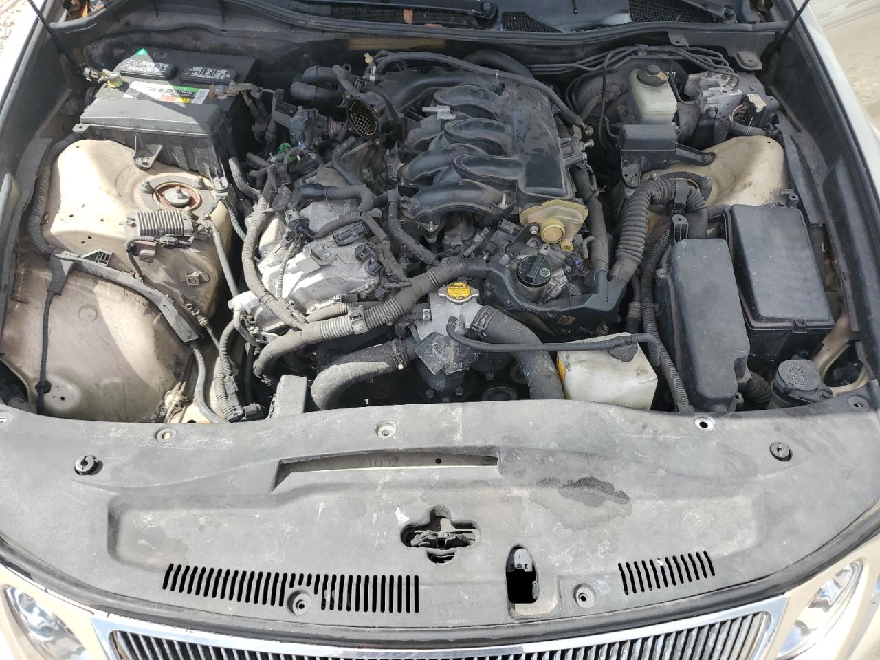 2006 Lexus Gs 300 VIN: JTHBH96S665032637 Lot: 64242795