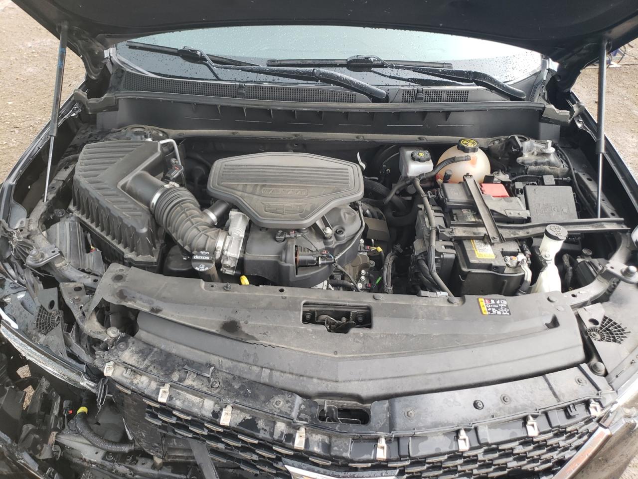 2021 Cadillac Xt6 Premium Luxury VIN: 1GYKPDRS8MZ210308 Lot: 66272145