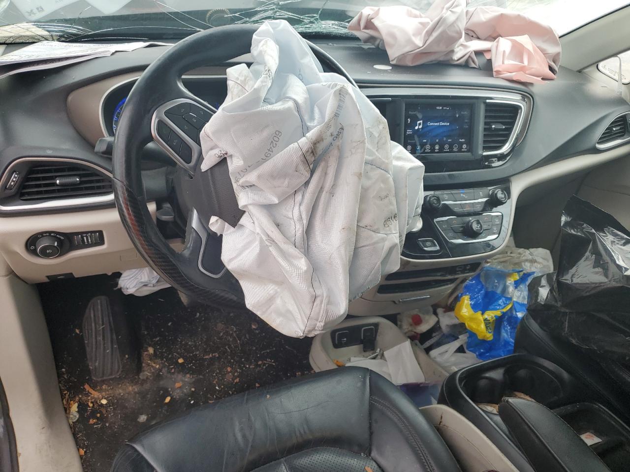 2019 Chrysler Pacifica Touring L VIN: 2C4RC1BG6KR731877 Lot: 66578775