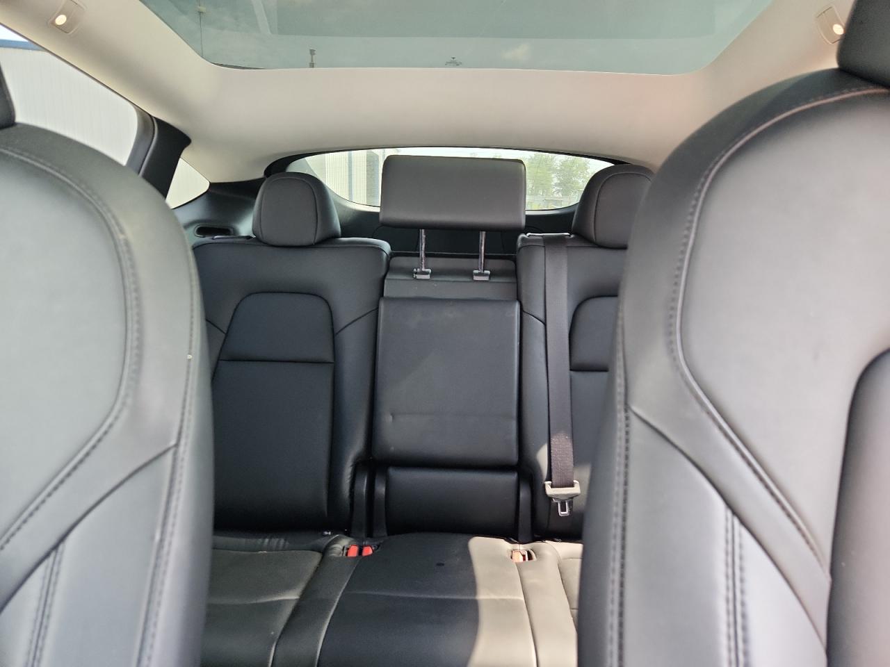 2024 Tesla Model Y VIN: 7SAYGDEE1RA259458 Lot: 62735315