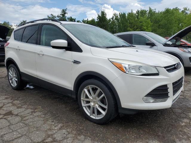 Паркетники FORD ESCAPE 2013 Белы