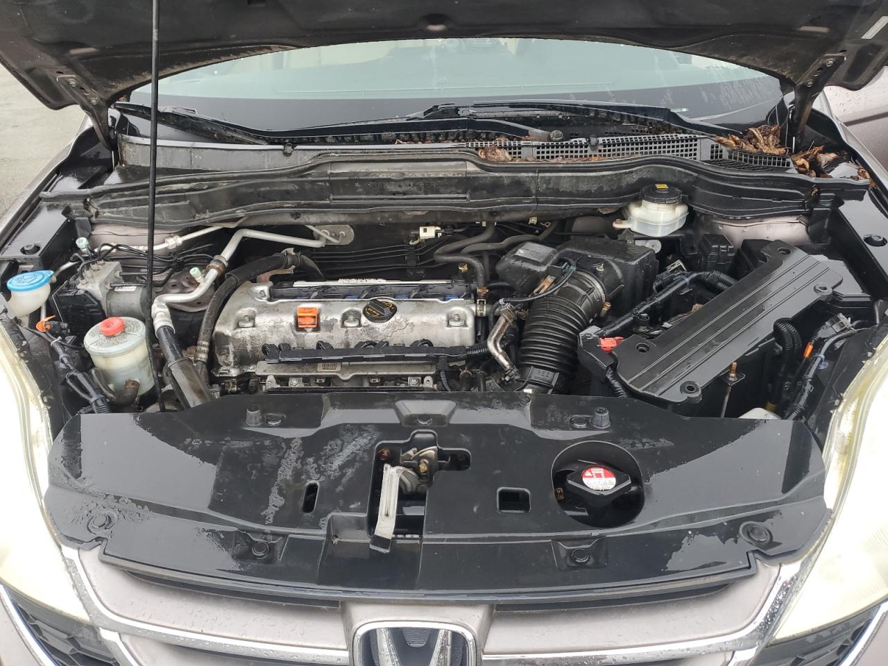 2010 Honda Cr-V Exl VIN: 5J6RE4H78AL099484 Lot: 64885135