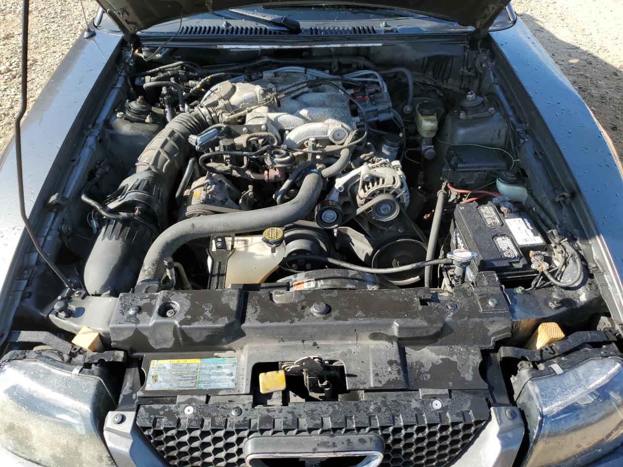 2004 Ford Mustang VIN: 1FAFP40654F156996 Lot: 64380715