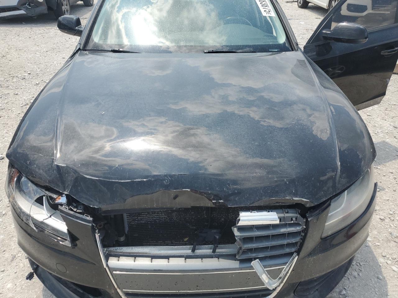 2010 Audi A4 Premium VIN: WAUBFAFL8AN063833 Lot: 62683875