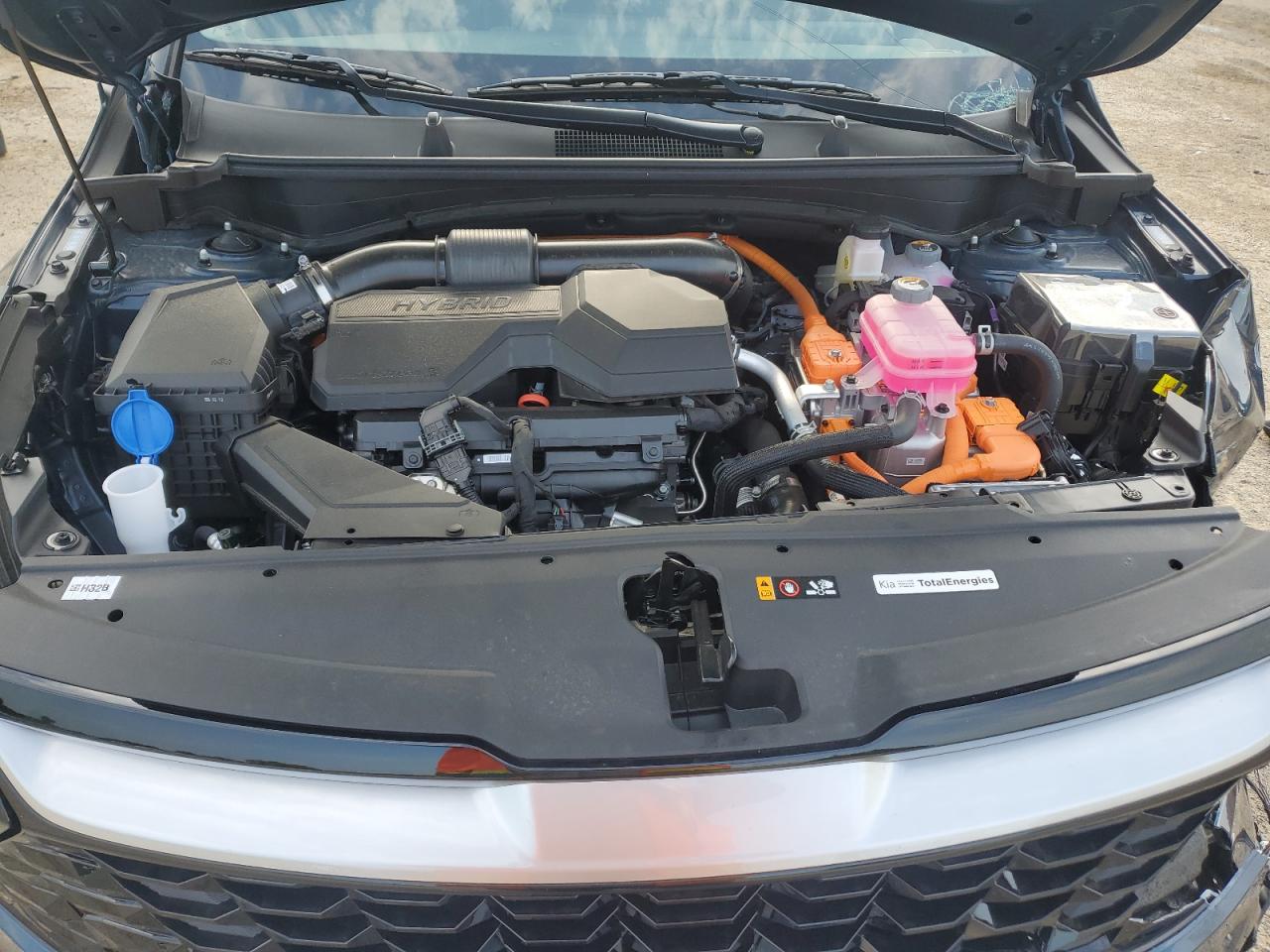 2025 Kia Sportage Ex VIN: KNDPVCDG6S7244397 Lot: 66453985