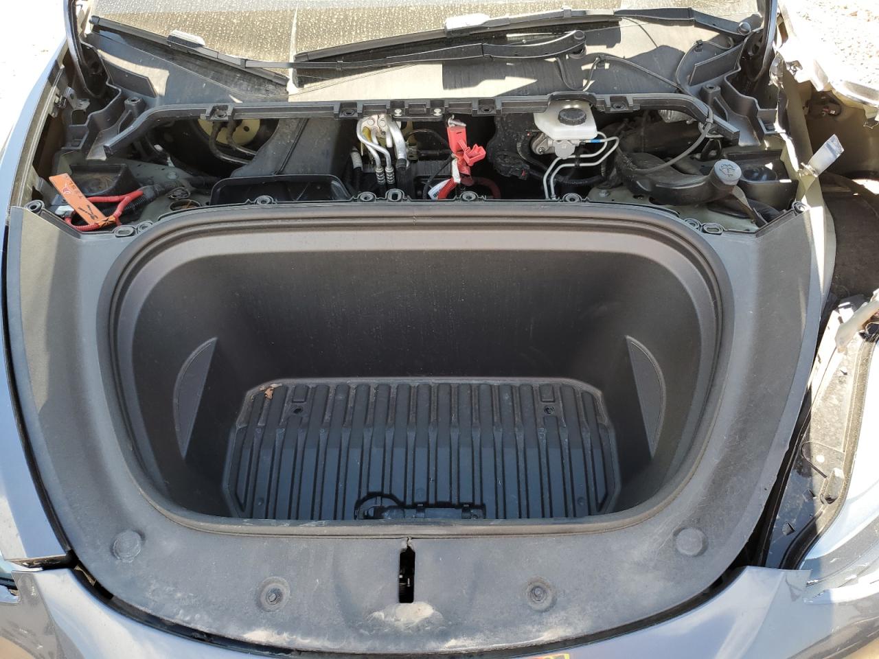2023 Tesla Model Y VIN: 7SAYGDEE3PF901310 Lot: 64863095