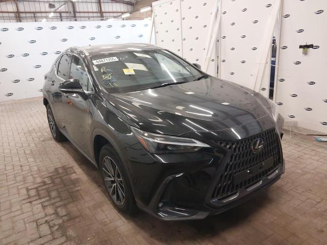 2023 LEXUS NX 350H CV