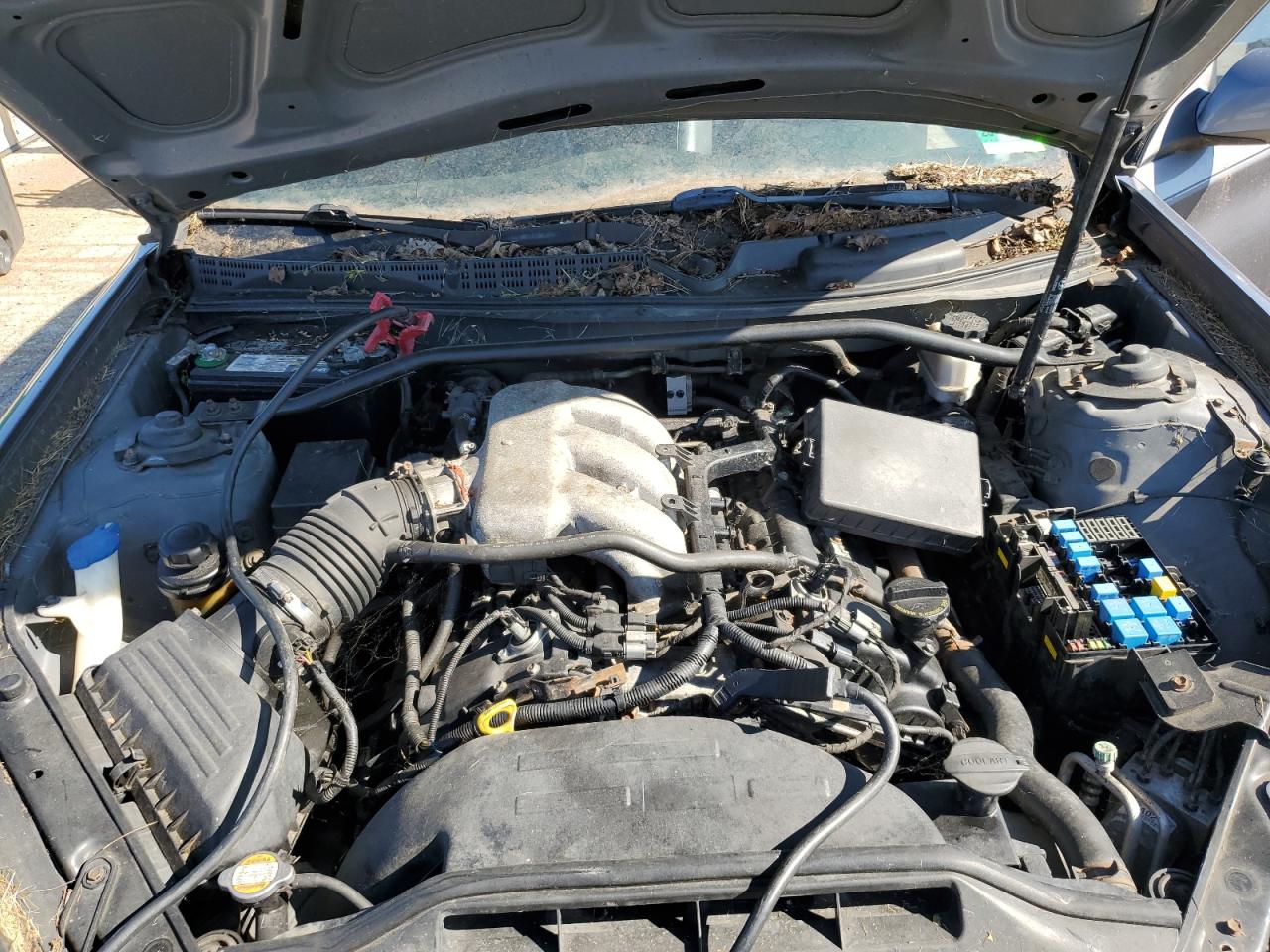 2010 Hyundai Genesis Coupe 3.8L VIN: KMHHU6KH3AU012565 Lot: 65973495