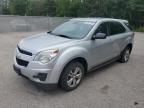 2013 CHEVROLET EQUINOX LS   à vendre chez Copart ON - COOKSTOWN