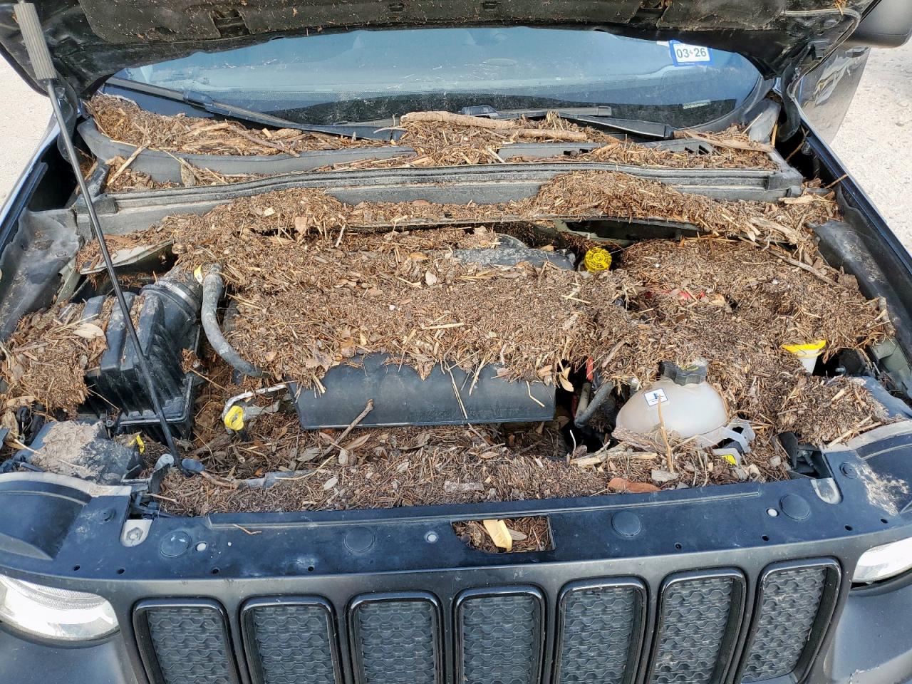 2021 Jeep Renegade Sport VIN: ZACNJCABXMPM55410 Lot: 64524865