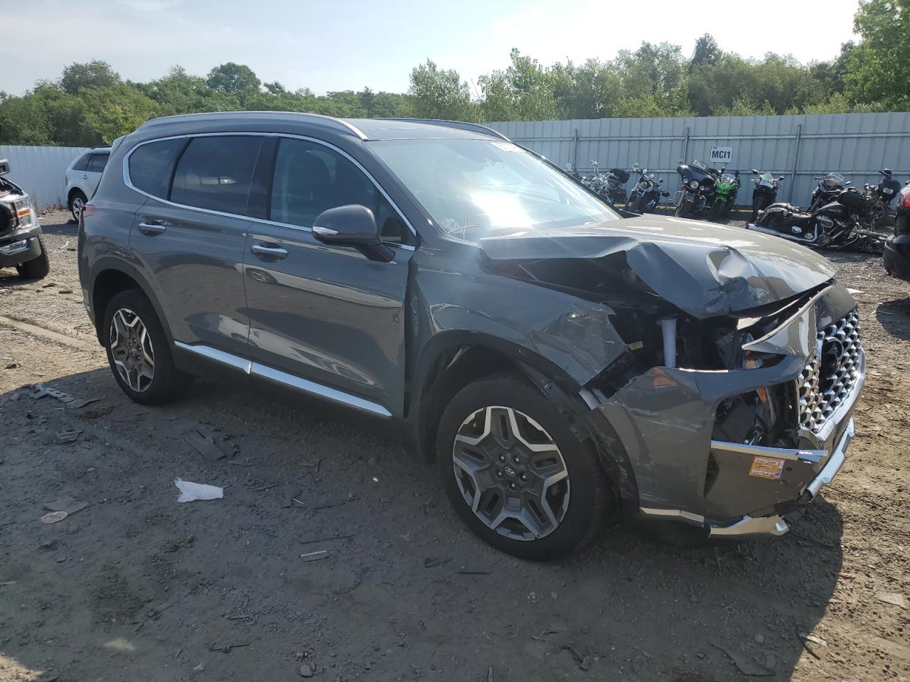 2023 Hyundai Santa Fe Limited VIN: 5NMS5DA16PH004895 Lot: 66375995