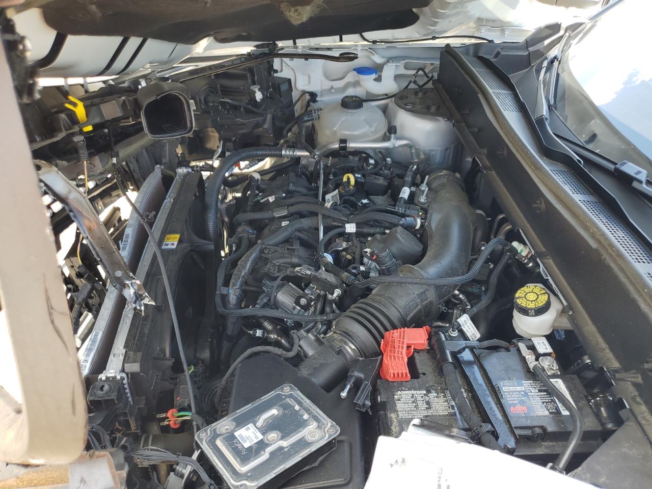 2024 Ford Bronco Sport Badlands VIN: 3FMCR9D90RRF56365 Lot: 66088885