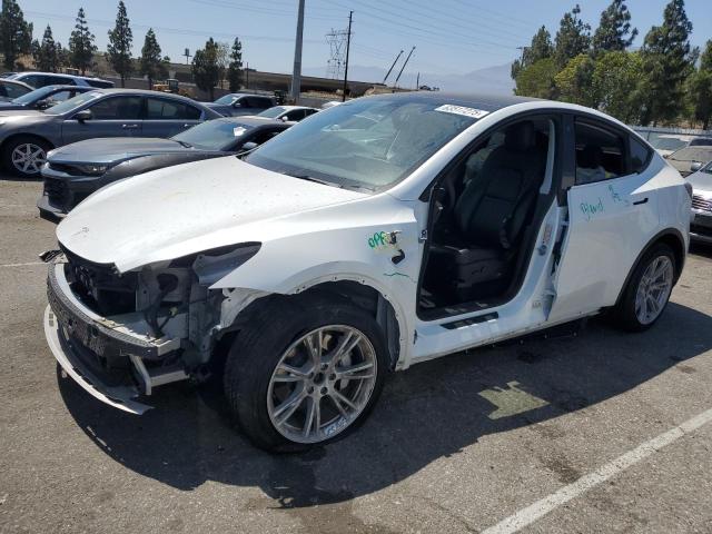  TESLA MODEL Y 2021 White