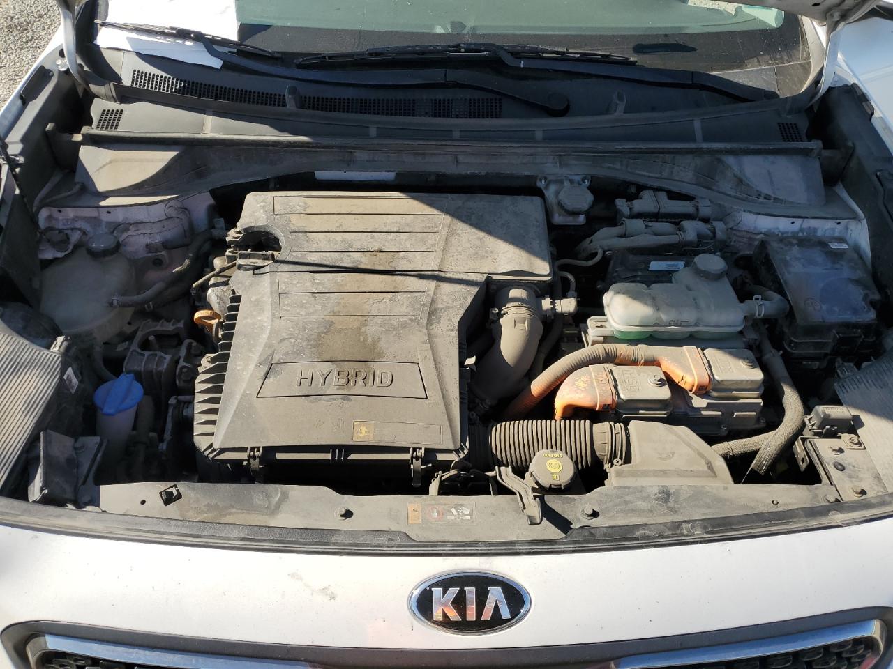 2019 Kia Niro Fe VIN: KNDCB3LCXK5353110 Lot: 62960445