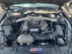 2017 FORD MUSTANG GT   à vendre chez Copart NS - HALIFAX