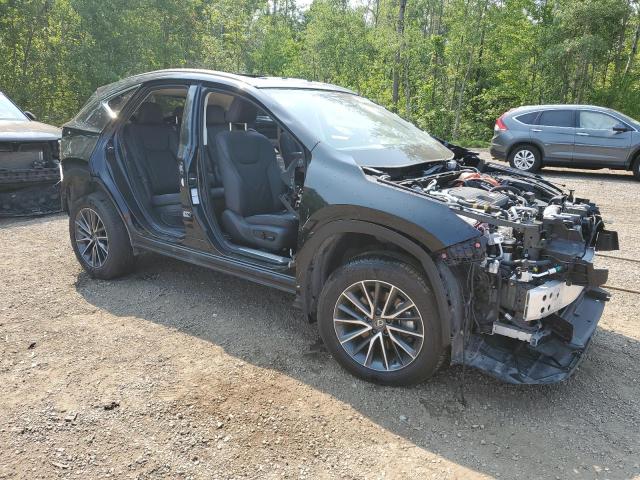  LEXUS NX 450H LU 2024 Черный