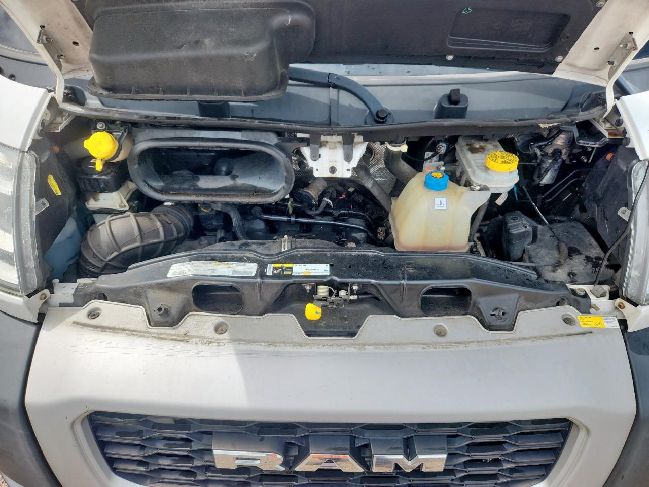 2019 Ram Promaster 2500 2500 High VIN: 3C6TRVDG2KE534397 Lot: 63781105