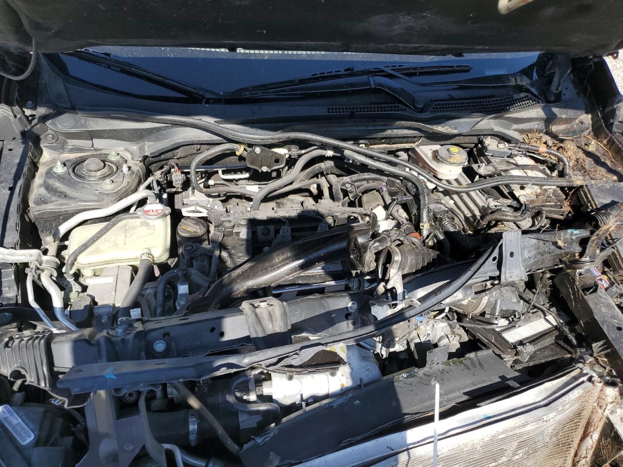 2019 Honda Civic Sport VIN: SHHFK7G42KU210379 Lot: 64087935