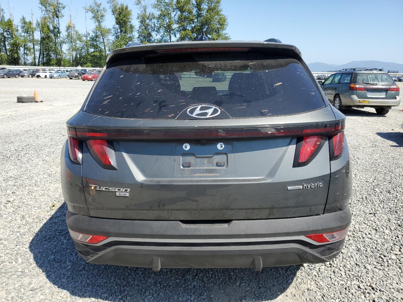 2024 Hyundai Tucson Blue VIN: KM8JBCD11RU148436 Lot: 65235715