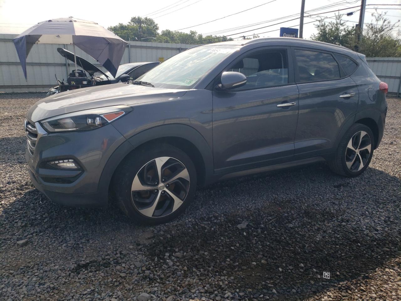 2016 Hyundai Tucson Limited VIN: KM8J3CA28GU108703 Lot: 66349775