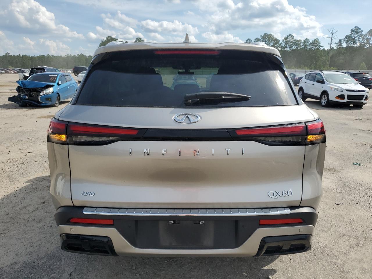 2023 Infiniti Qx60 Luxe VIN: 5N1DL1FS5PC350817 Lot: 67077815