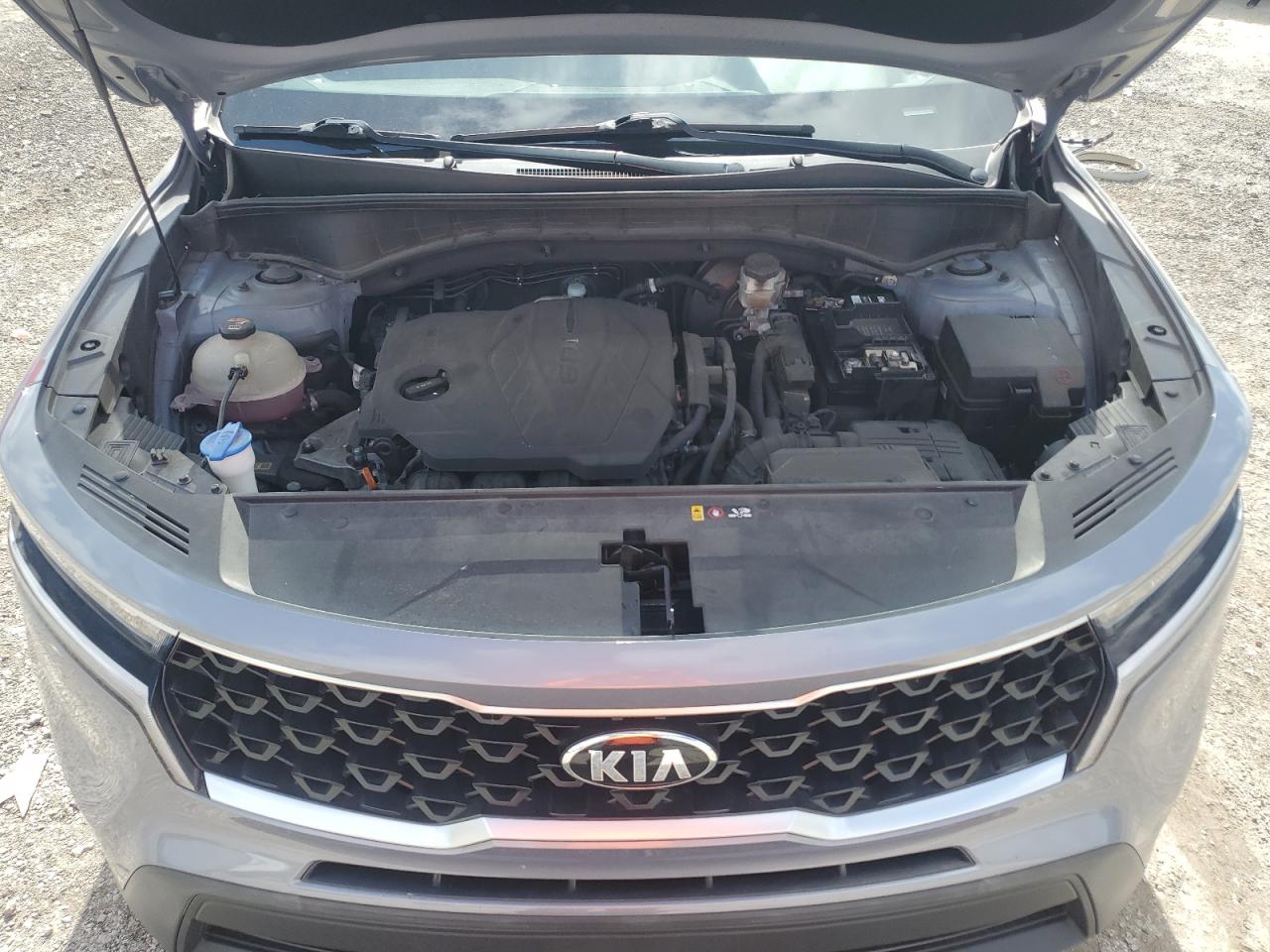 2021 Kia Sorento Lx VIN: 5XYRG4LC6MG020897 Lot: 65050195
