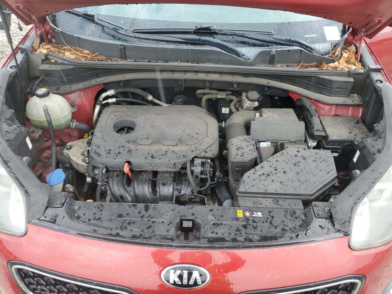 2017 Kia Sportage Lx VIN: KNDPM3AC8H7095858 Lot: 64671975