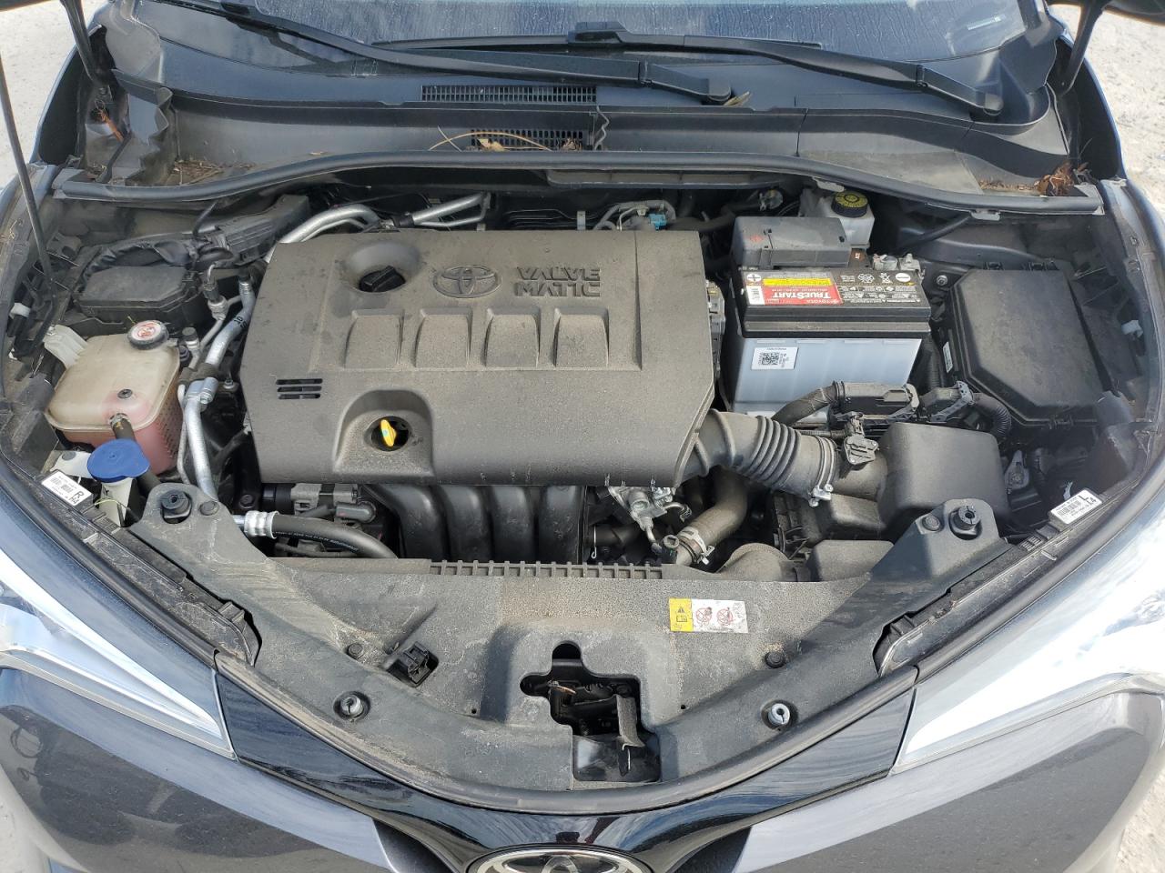 2019 Toyota C-Hr Xle VIN: NMTKHMBX3KR088317 Lot: 65467685