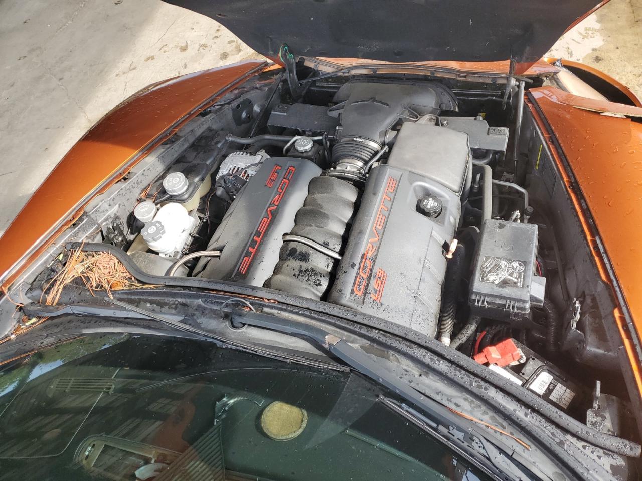 2008 Chevrolet Corvette VIN: 1G1YY25W485120797 Lot: 63226495