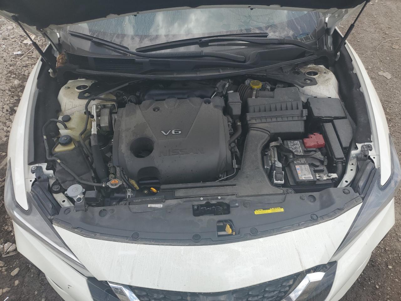2023 Nissan Maxima Platinum VIN: 1N4AA6FV5PC505294 Lot: 64944175