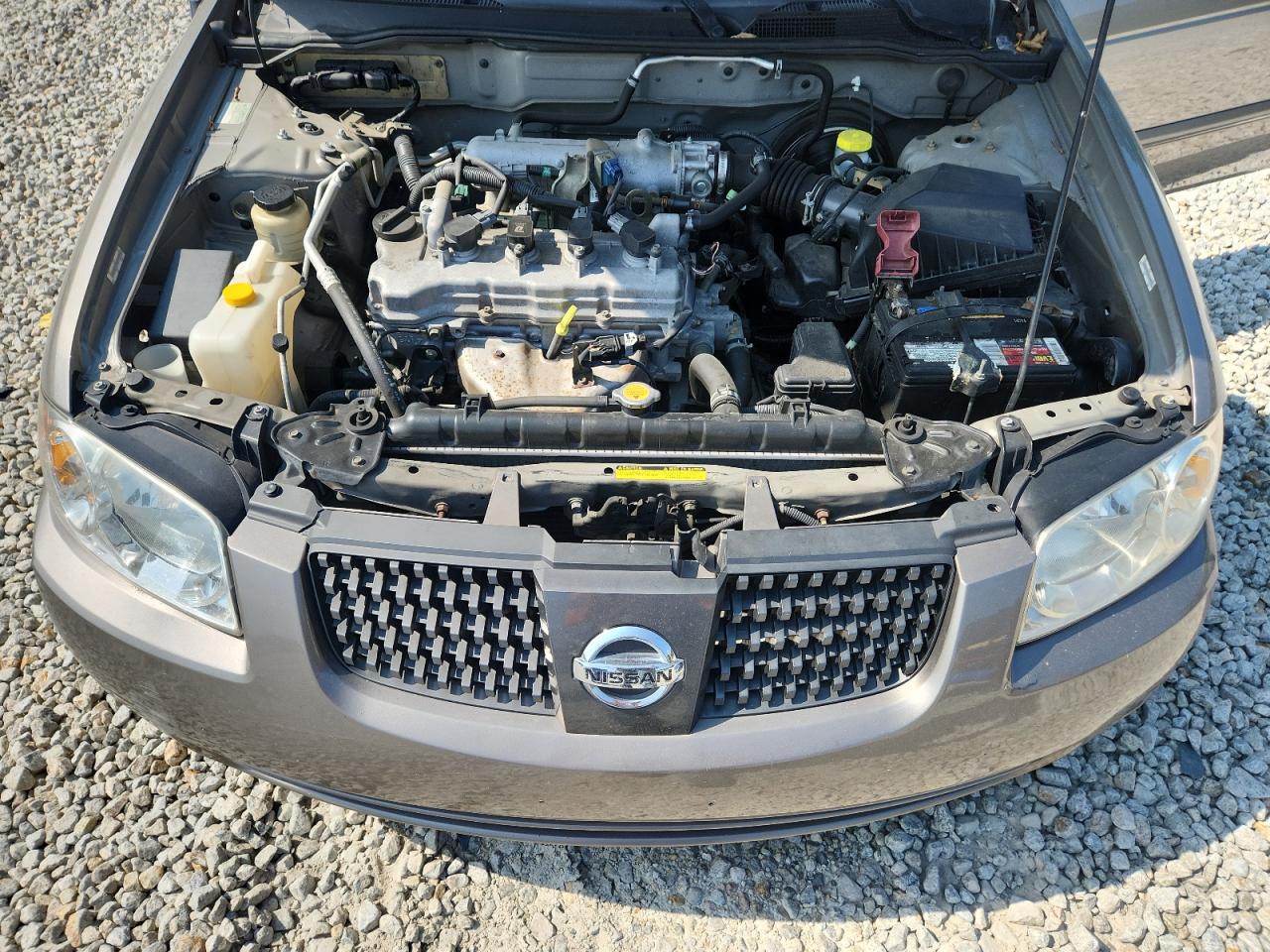 2005 Nissan Sentra 1.8 VIN: 3N1CB51D95L466254 Lot: 63635005