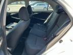 2009 TOYOTA COROLLA BASE   for sale at Copart MA - NORTH BOSTON