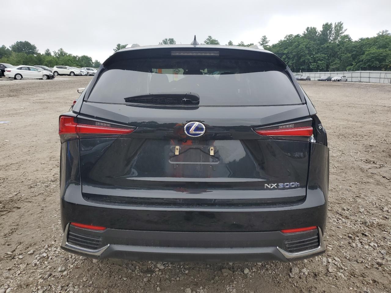 2021 Lexus Nx 300H Base VIN: JTJGJRDZ8M2150521 Lot: 62656295