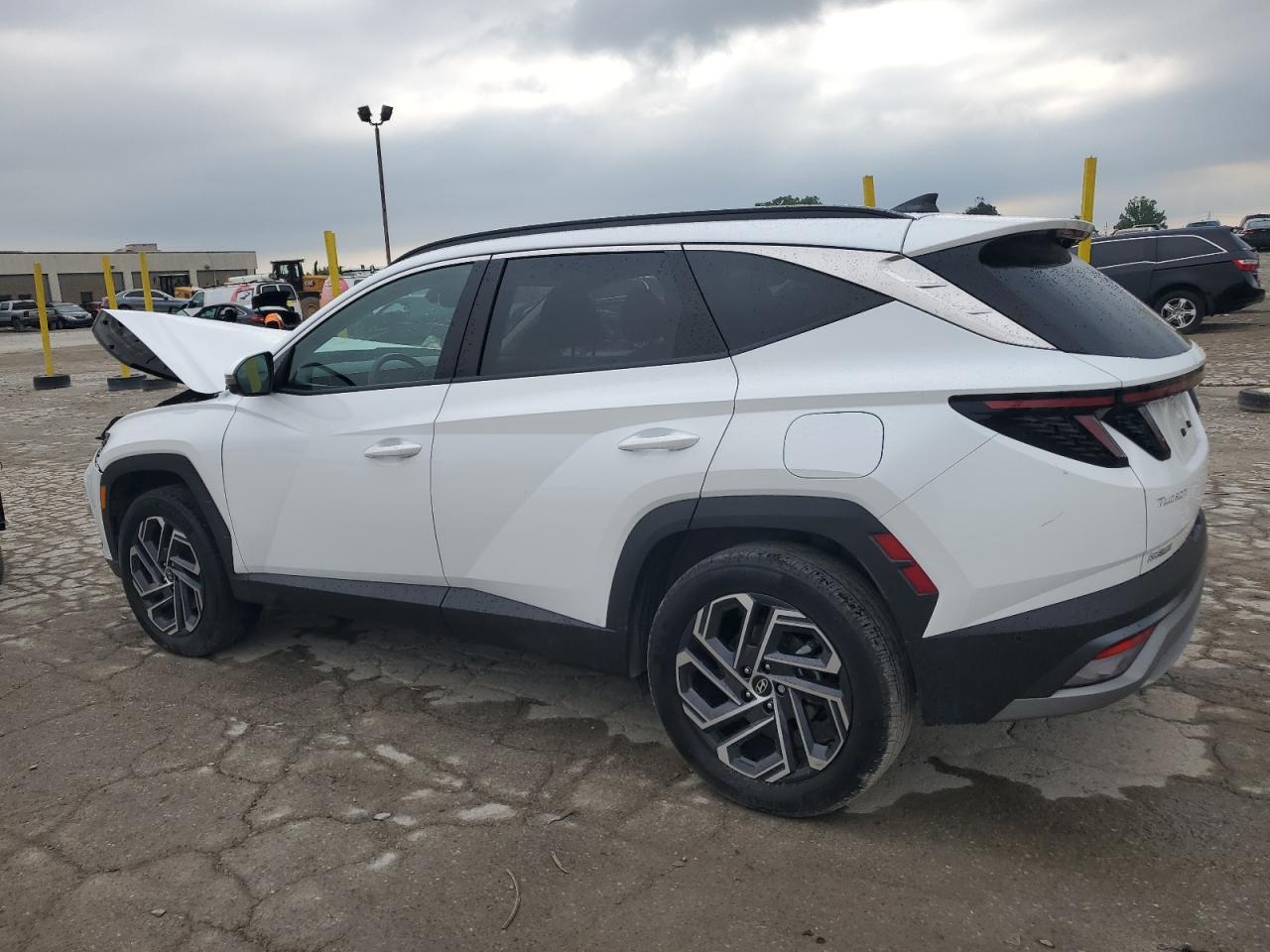 km8jedd19su267919 KM8JEDD19SU267919 2025 Hyundai Tucson Limited