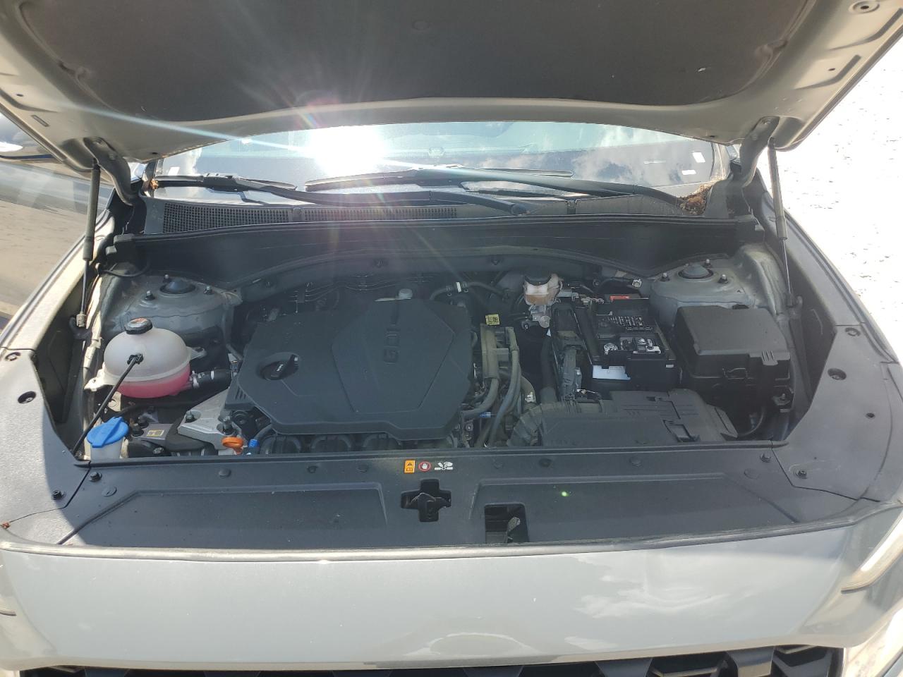 2023 Hyundai Santa Fe Sel VIN: 5NMS2DAJ1PH635353 Lot: 64493885