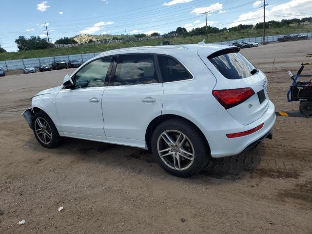  AUDI Q5 2016 Белы
