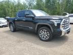 2023 TOYOTA TUNDRA CREWMAX PLATINUM   for sale at Copart ON - COOKSTOWN