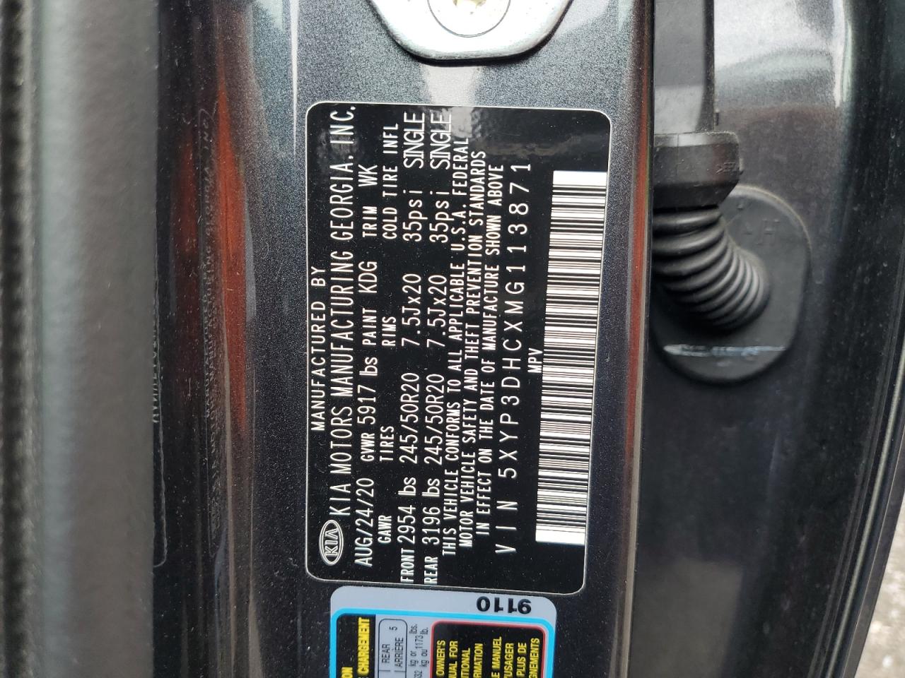 2021 Kia Telluride Ex VIN: 5XYP3DHCXMG113871 Lot: 64113405