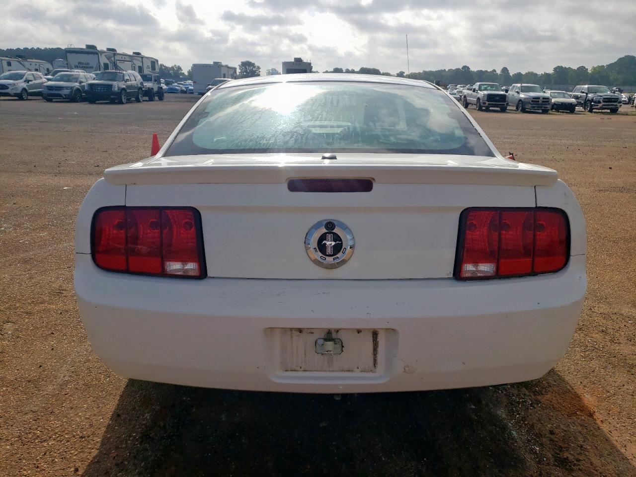 2009 Ford Mustang VIN: 1ZVHT80N895136488 Lot: 65023225