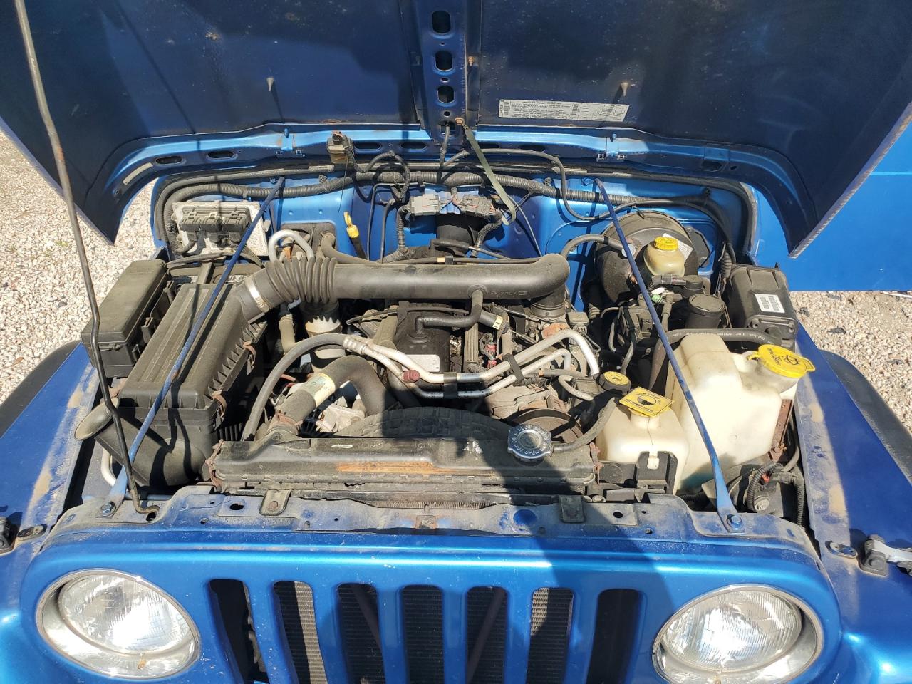 2002 Jeep Wrangler / Tj X VIN: 1J4FA39S42P773183 Lot: 63332355